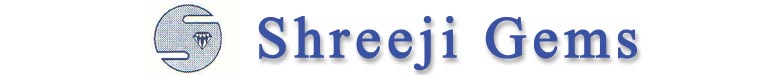 SHRIJI GEMS LIMITED (Mumbai)